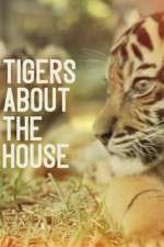 Watch Tigers About the House 9movies