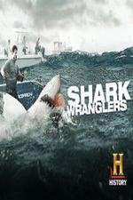 Watch Shark Wranglers 9movies