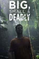 Watch Big, Small & Deadly 9movies