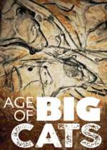 Watch Age of Big Cats 9movies