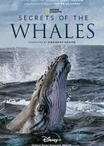 Watch Secrets of the Whales 9movies