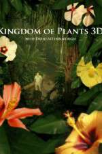 Watch Kingdom of Plants 3D 9movies