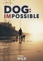 Watch Dog: Impossible 9movies