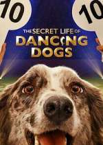 Watch The Secret Life of Dancing Dogs 9movies