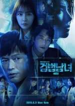 Watch Investigation Couple 9movies