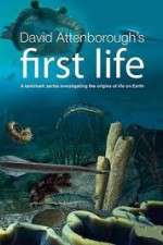 Watch David Attenborough's First Life 9movies