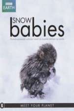 Watch Snow Babies 9movies