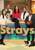 Watch Strays 9movies