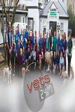 Watch Vets 24/7 9movies
