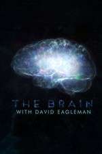 Watch The Brain with Dr David Eagleman 9movies