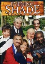 Watch Evening Shade 9movies