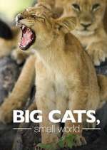 Watch Big Cats, Small World 9movies