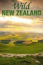 Watch Wild New Zealand 9movies